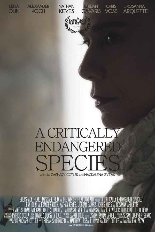 Maya Dardel Poster 6