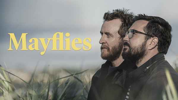 Mayflies Poster 1