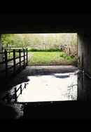 Mean Letters Poster 2