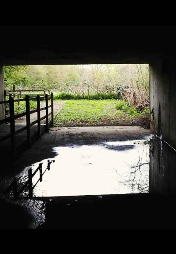 Mean Letters Poster 2