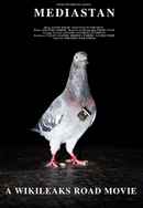 Mediastan Poster 6