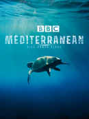 Mediterranean: Life Under Siege Poster 4