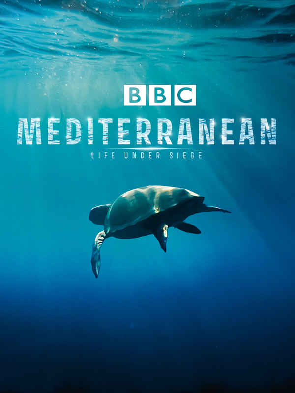 Mediterranean: Life Under Siege Poster 4