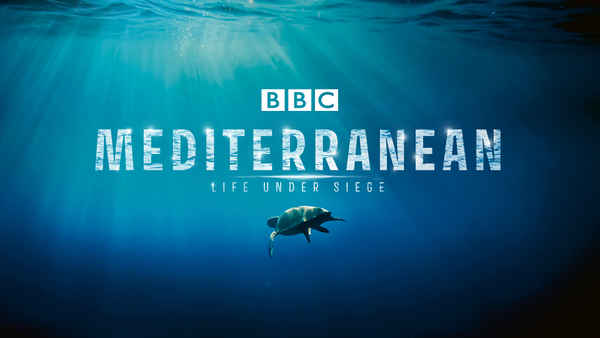 Mediterranean: Life Under Siege Poster 1