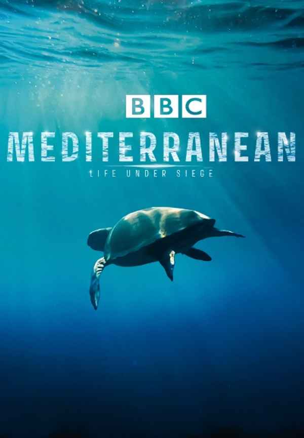 Mediterranean: Life Under Siege Poster 6
