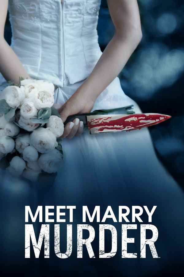 Meet Marry Murder Poster 4