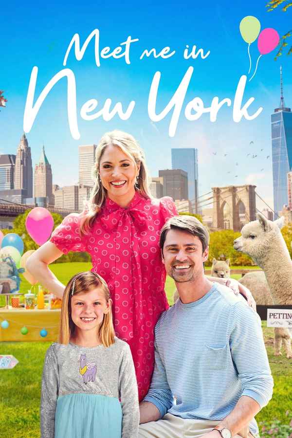 Meet Me in New York Poster 5