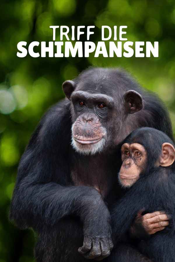 Meet The Chimps Poster 2