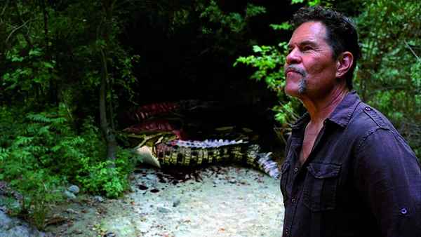 Mega Python vs. Gatoroid Poster 1