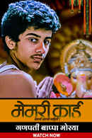 Memory Card Poster 7