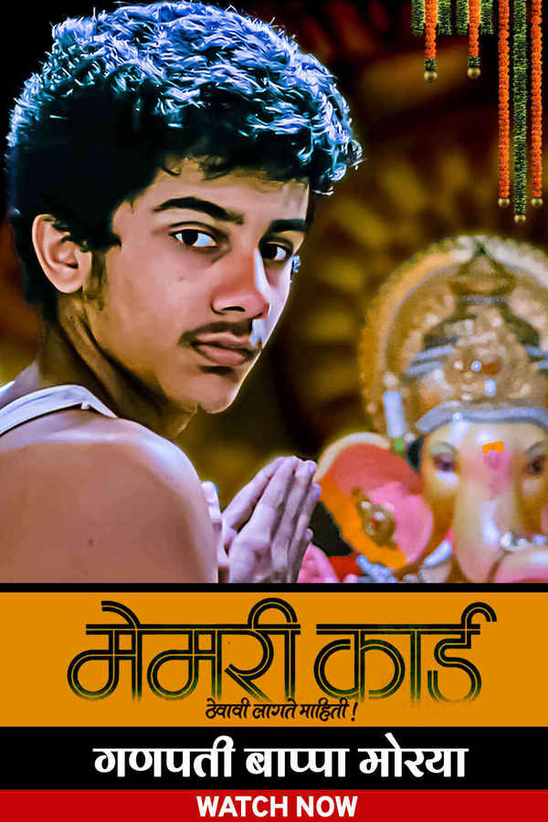 Memory Card Poster 7