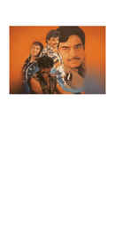 Mera Punjab Poster 6