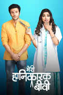Meri Hanikarak Biwi Poster 2