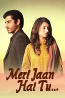 Meri Jaan Hai Tu Poster 2