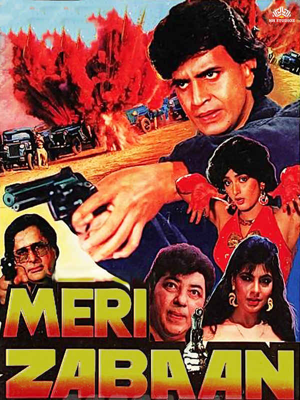 Meri Zabaan Poster 2