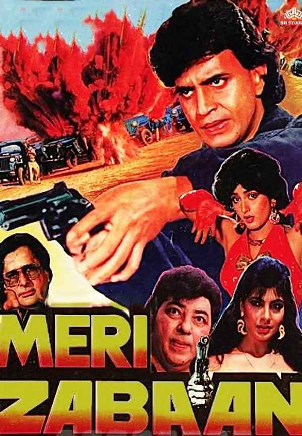 Meri Zabaan Poster 6