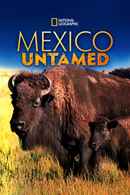 Mexico Untamed Poster 3