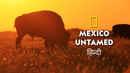 Mexico Untamed Poster 5