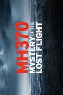 MH370: Mystery of the Lost Flight Poster 2
