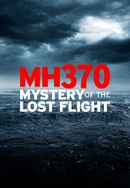 MH370: Mystery of the Lost Flight Poster 3