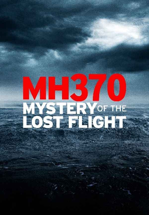MH370: Mystery of the Lost Flight Poster 3