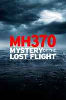 MH370: Mystery of the Lost Flight Poster 1
