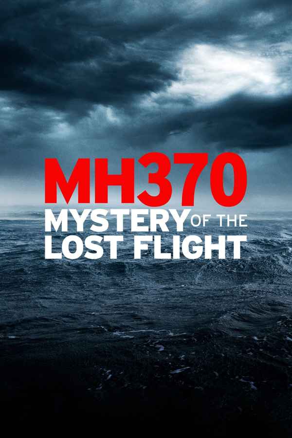 MH370: Mystery of the Lost Flight Poster 1