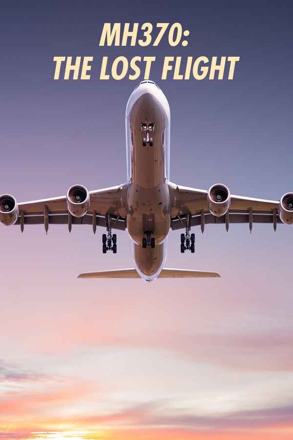 MH370: The Lost Flight Poster 2