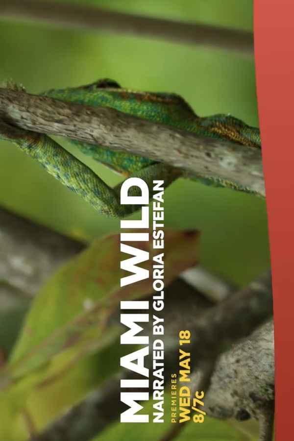 Miami Wild Poster 3