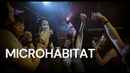 Microhabitat Poster 3