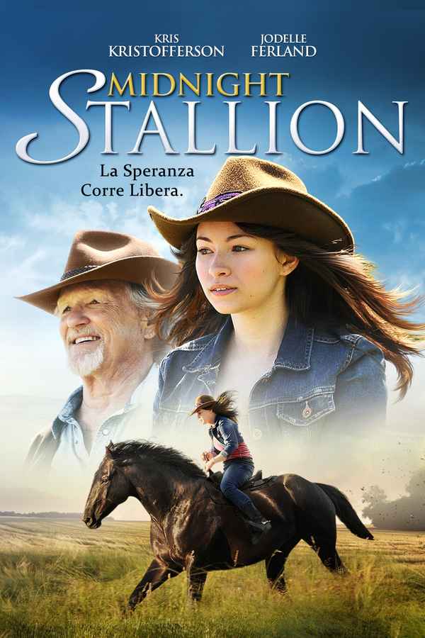 Midnight Stallion Poster 2