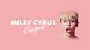 Miley Cyrus: Bangerz Tour Poster 2