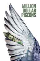 Million Dollar Pigeons Poster 1