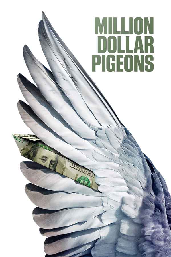 Million Dollar Pigeons Poster 1