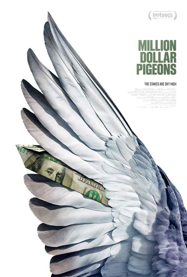 Million Dollar Pigeons Poster 2