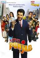 Mini Punjab Poster 6