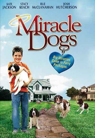 Miracle Dogs