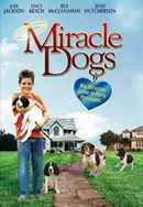 Miracle Dogs Poster 4