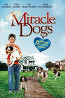 Miracle Dogs Poster 3