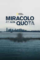 Miracle Landing on the Hudson Poster 3