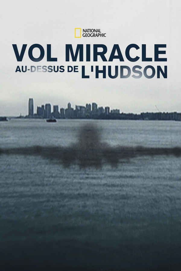 Miracle Landing on the Hudson Poster 4