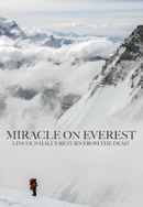 Miracle on Everest Poster 4