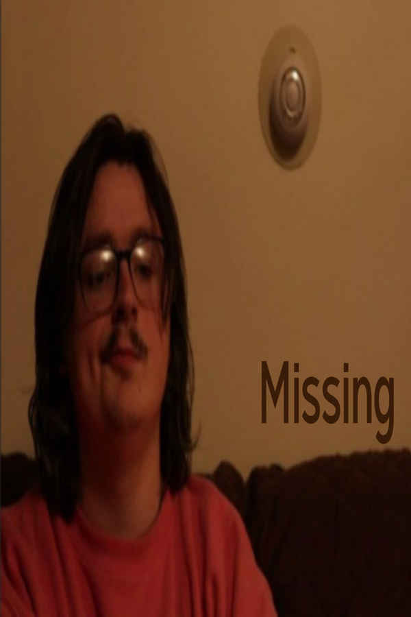 Missing Poster 4