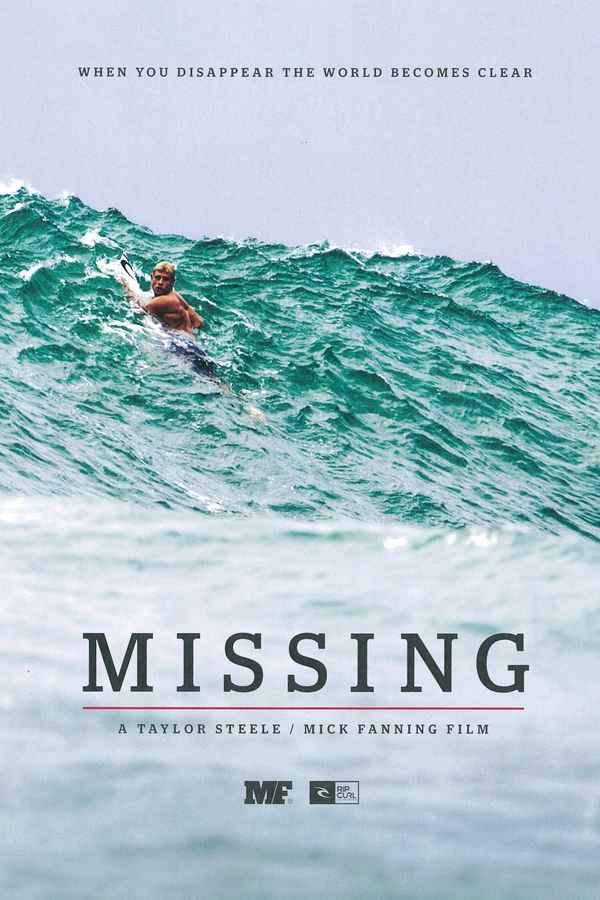 Missing Poster 1