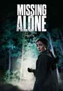 Missing and Alone Poster 5