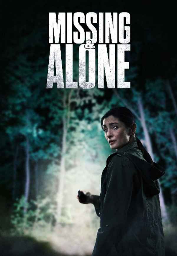 Missing and Alone Poster 5