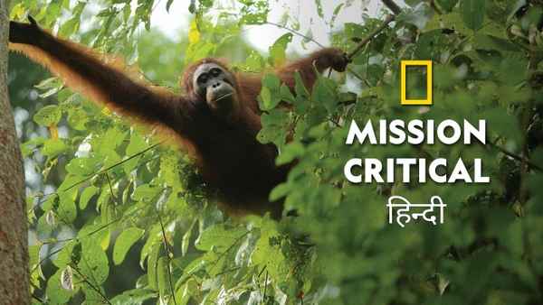 Mission Critical Poster 2