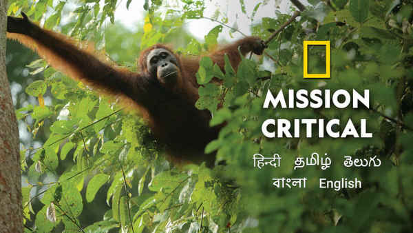 Mission Critical Poster 4