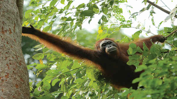 Mission Critical Poster 7