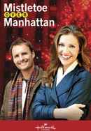 Mistletoe Over Manhattan Poster 3